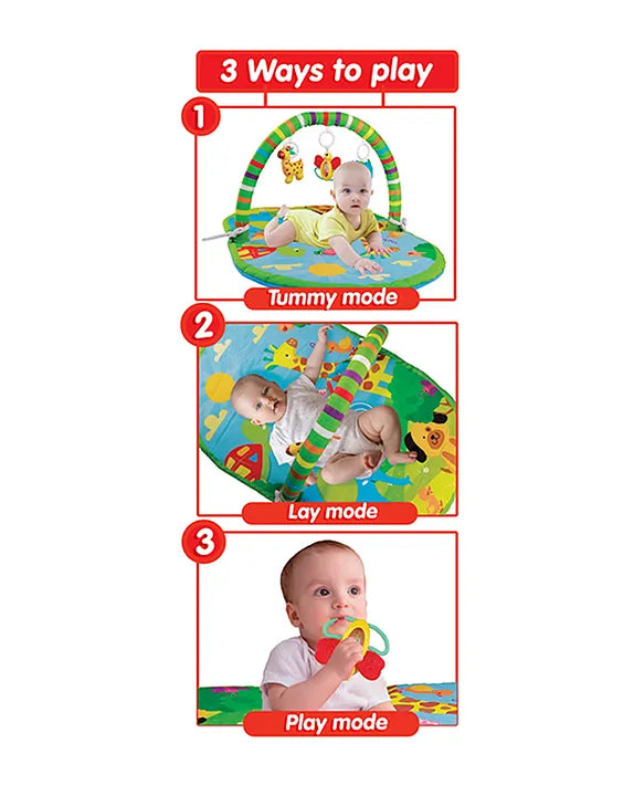 Giggles 3 in 1 Deluxe Playgym