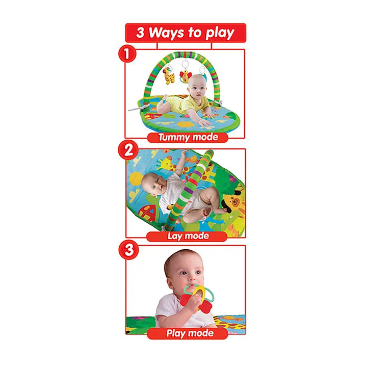 Giggles 3 in 1 Deluxe Playgym - Multicolor