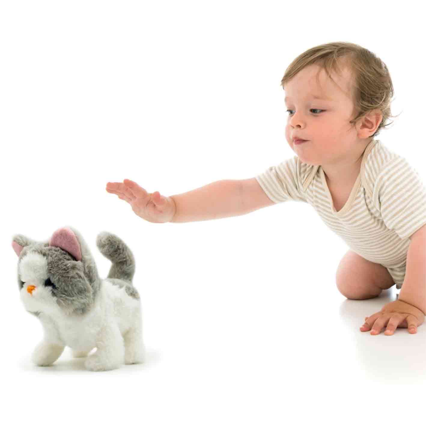FuzzBuzz Cat Pets Sasha Walking Cat
