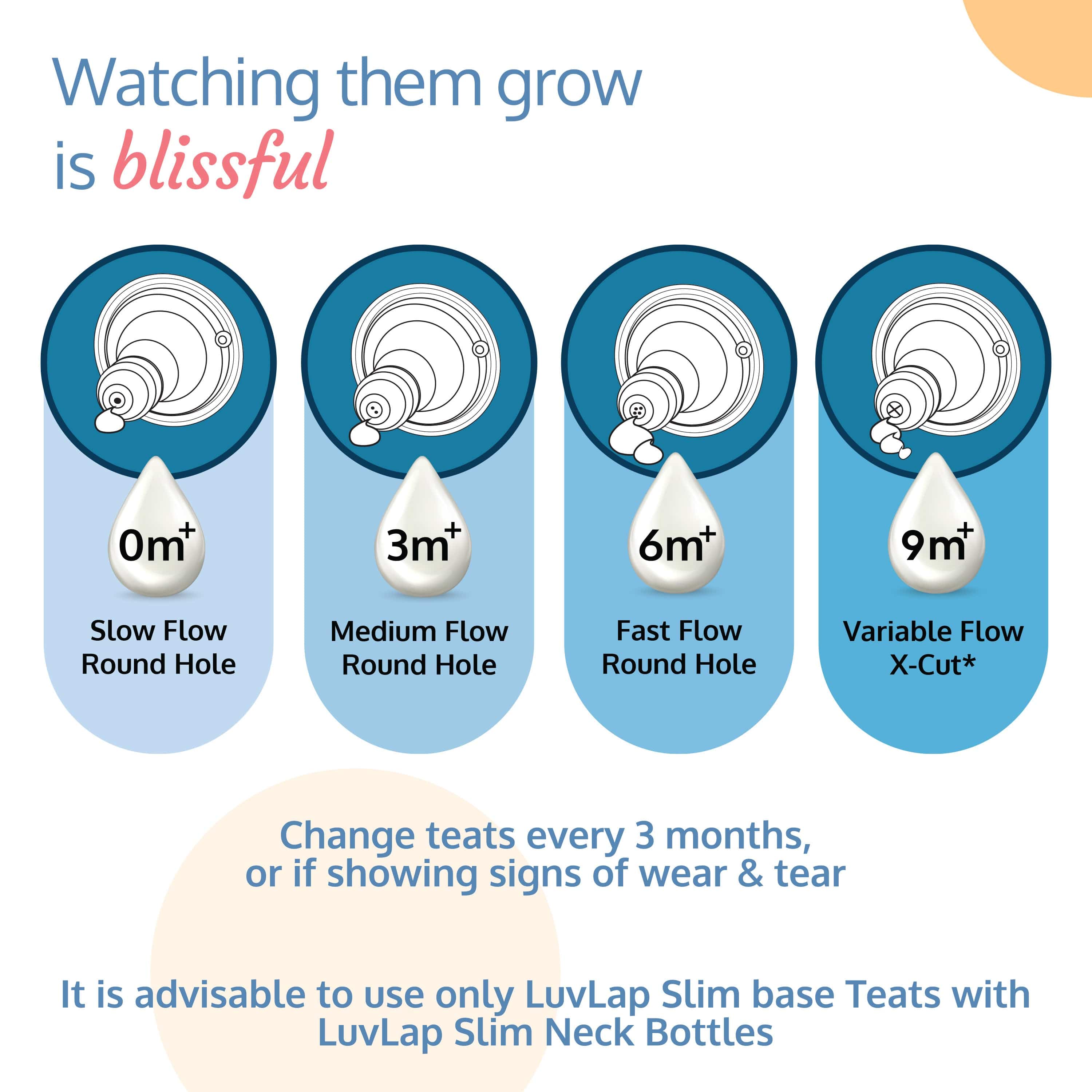 LuvLap Anti-Colic Slim/Regular Neck Essential Baby Feeding Bottle, 250ml (Pack of 2)