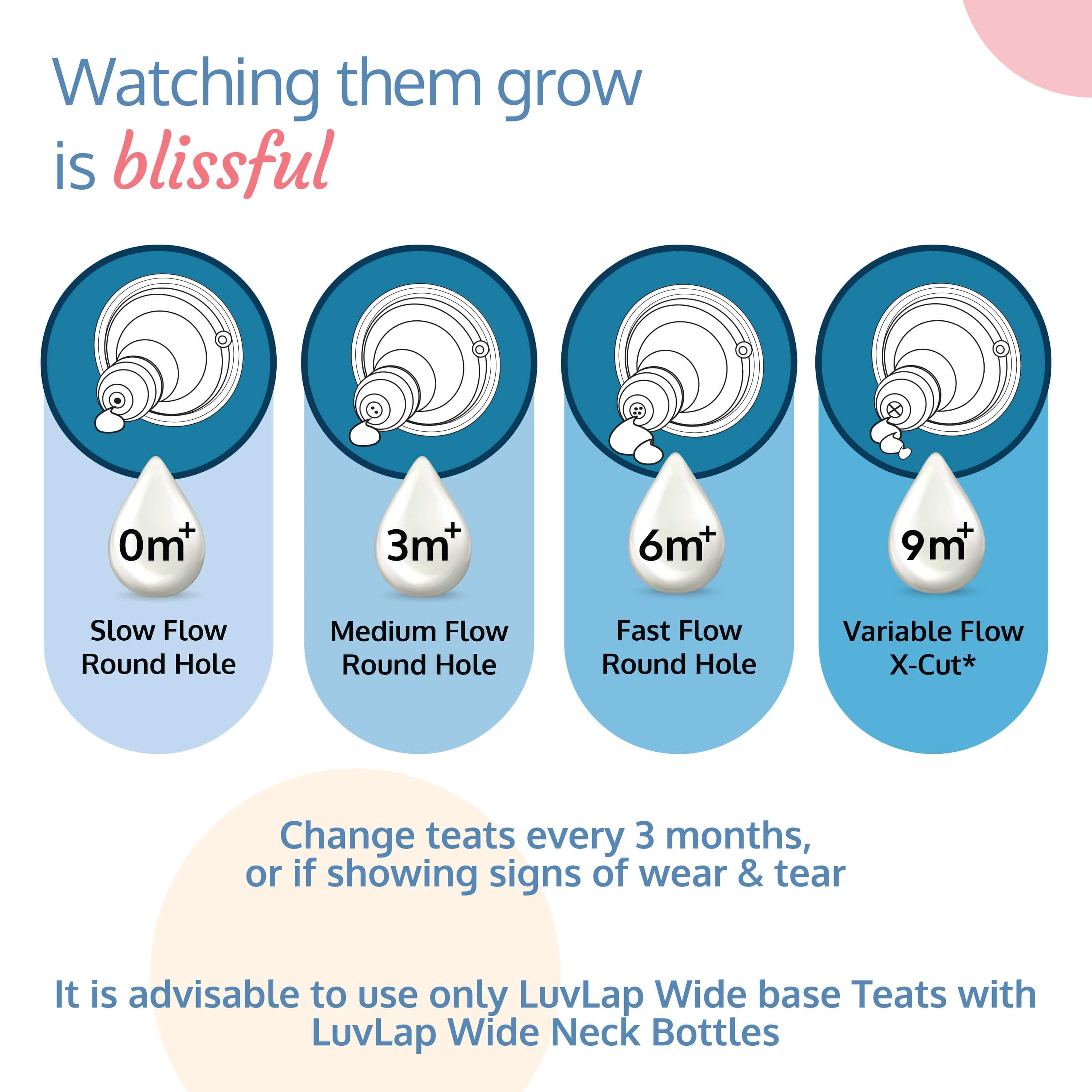 LuvLap Natura Flo Wide Neck Glass Feeding Bottle, Pack of 2, 250ml