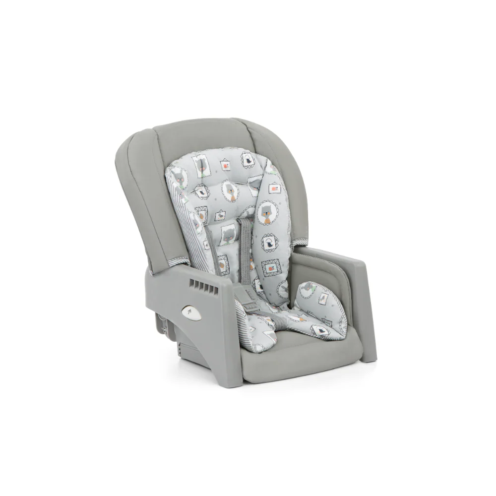 Joie Multiply 6 in 1 Highchair