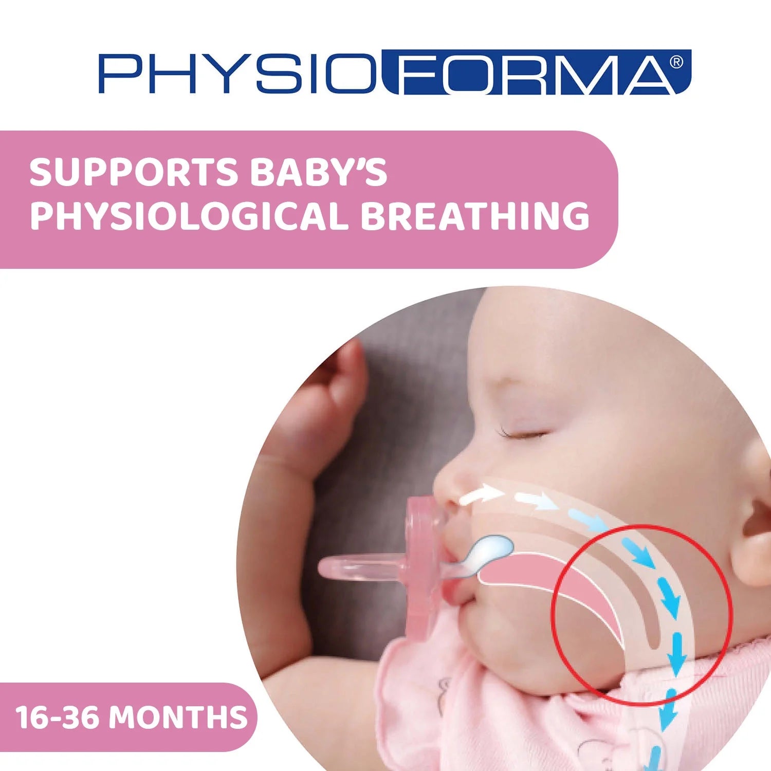 chicco Soother Physio Comfort Pink 16 to 36M 2Pcs